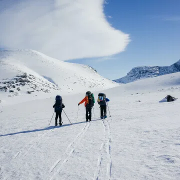 Ski resorts - FIFA官网
